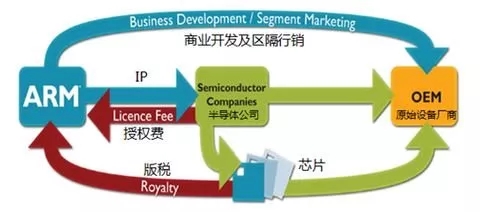 1.webp (1).jpg