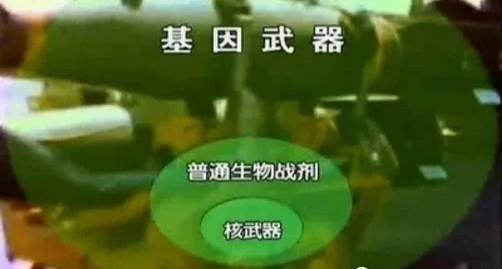 1.webp (22).jpg