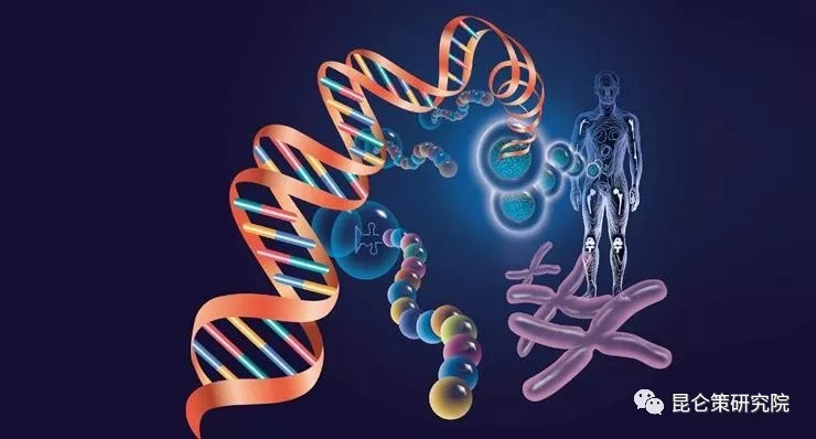 1.webp (33).jpg