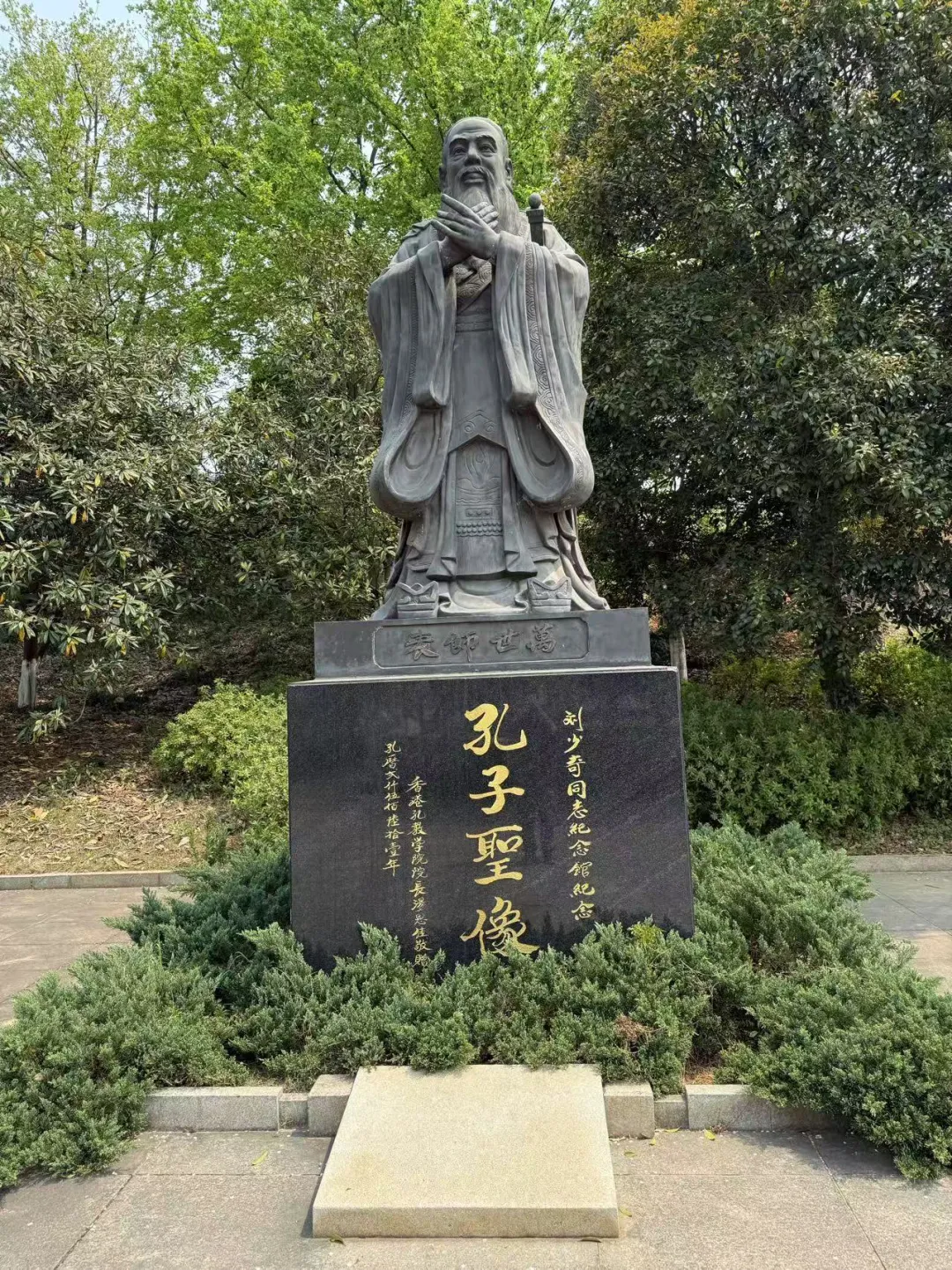 11.jpg
