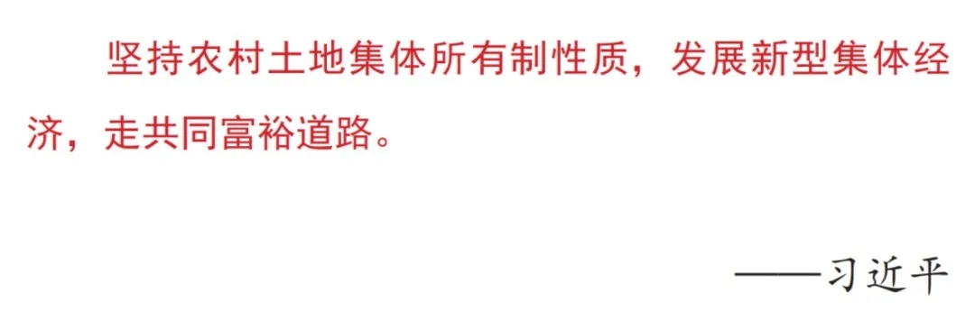 1.webp (16).jpg