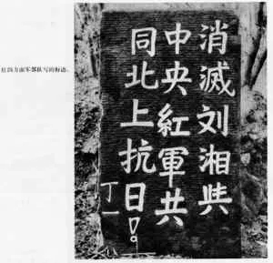 1.webp (11).jpg