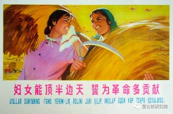 1.webp (29).jpg