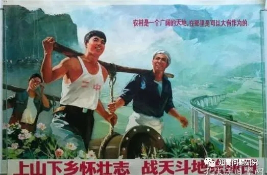 1.webp (4).jpg