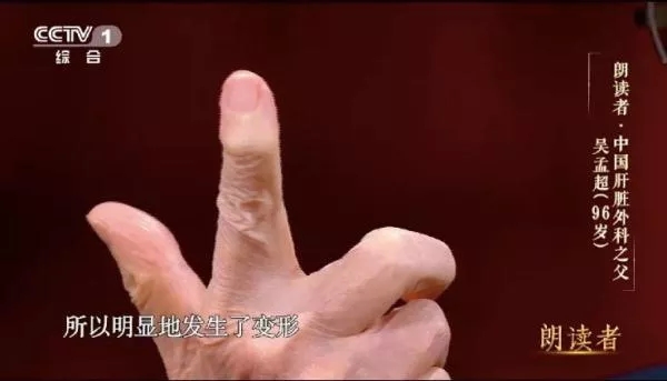 1.webp (15).jpg