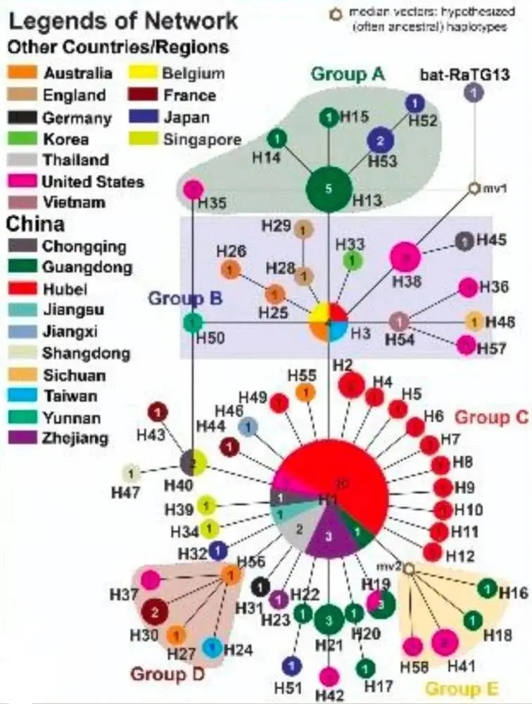 1.webp (5).jpg