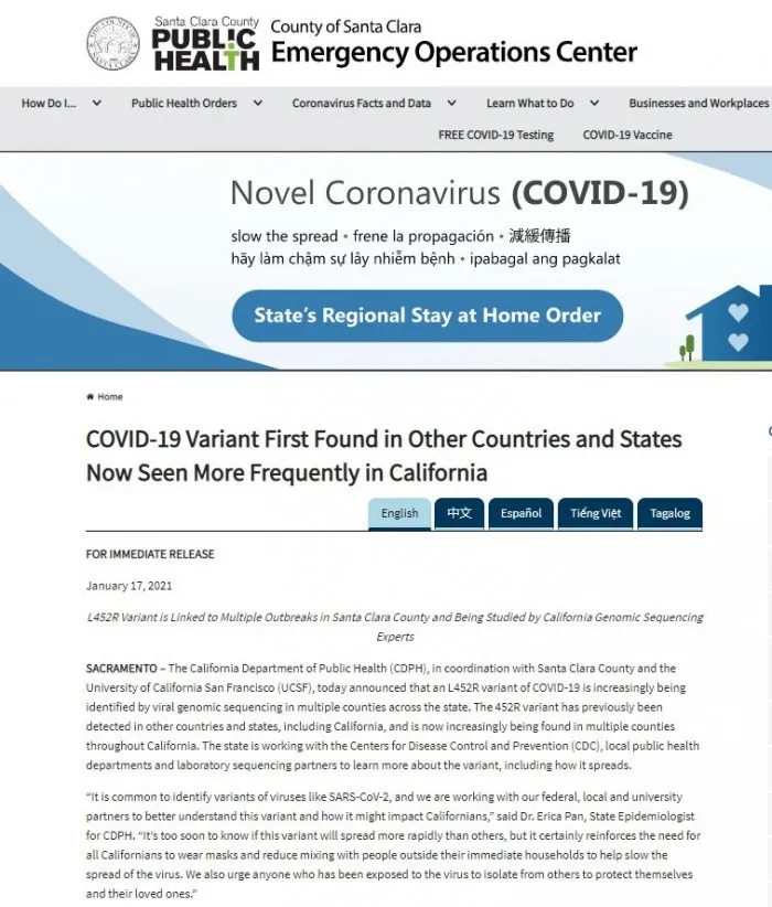 1.webp (3).jpg