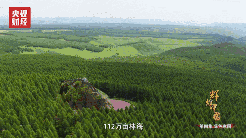 22.gif