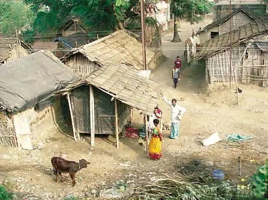 1.webp (33).jpg