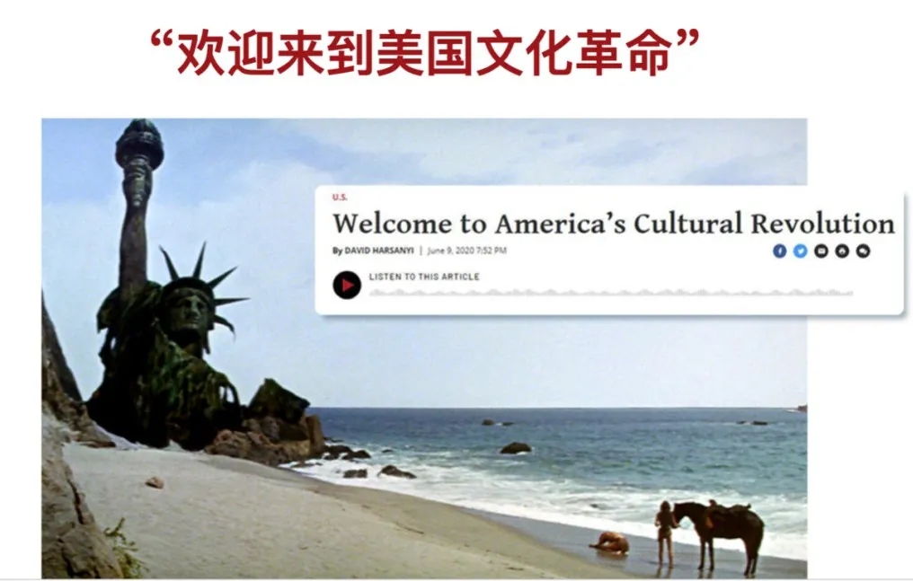 1.webp (12).jpg