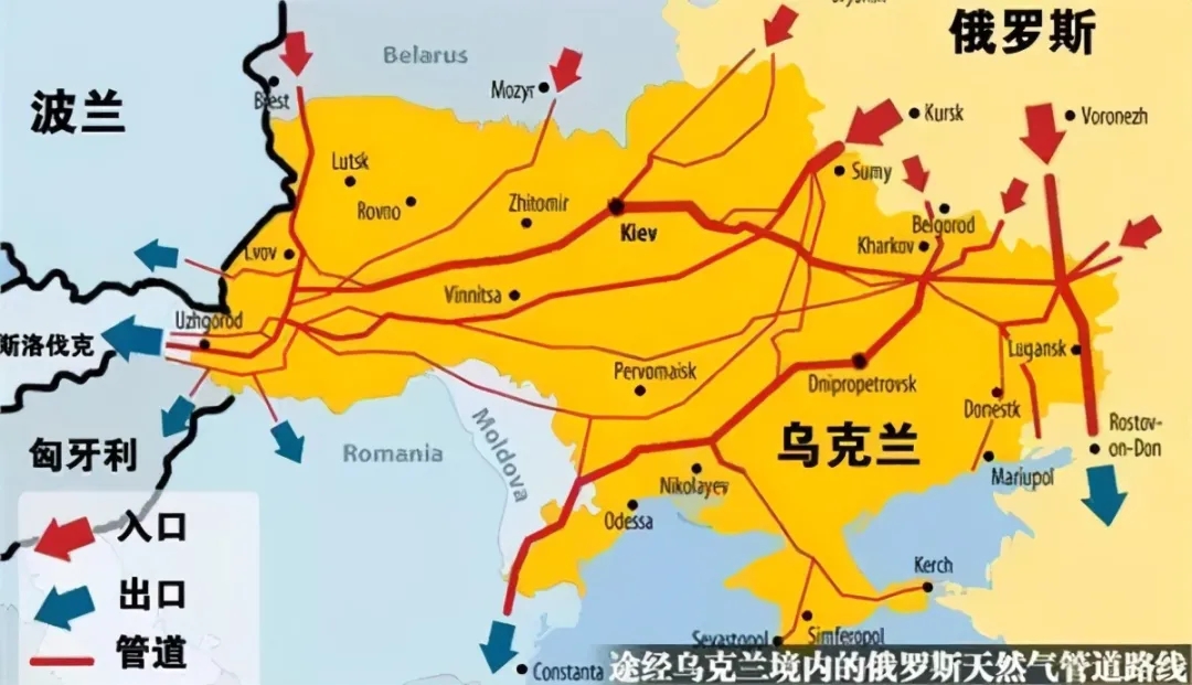 1.webp (15).jpg