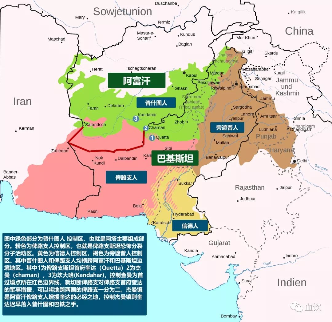 1.webp (29).jpg