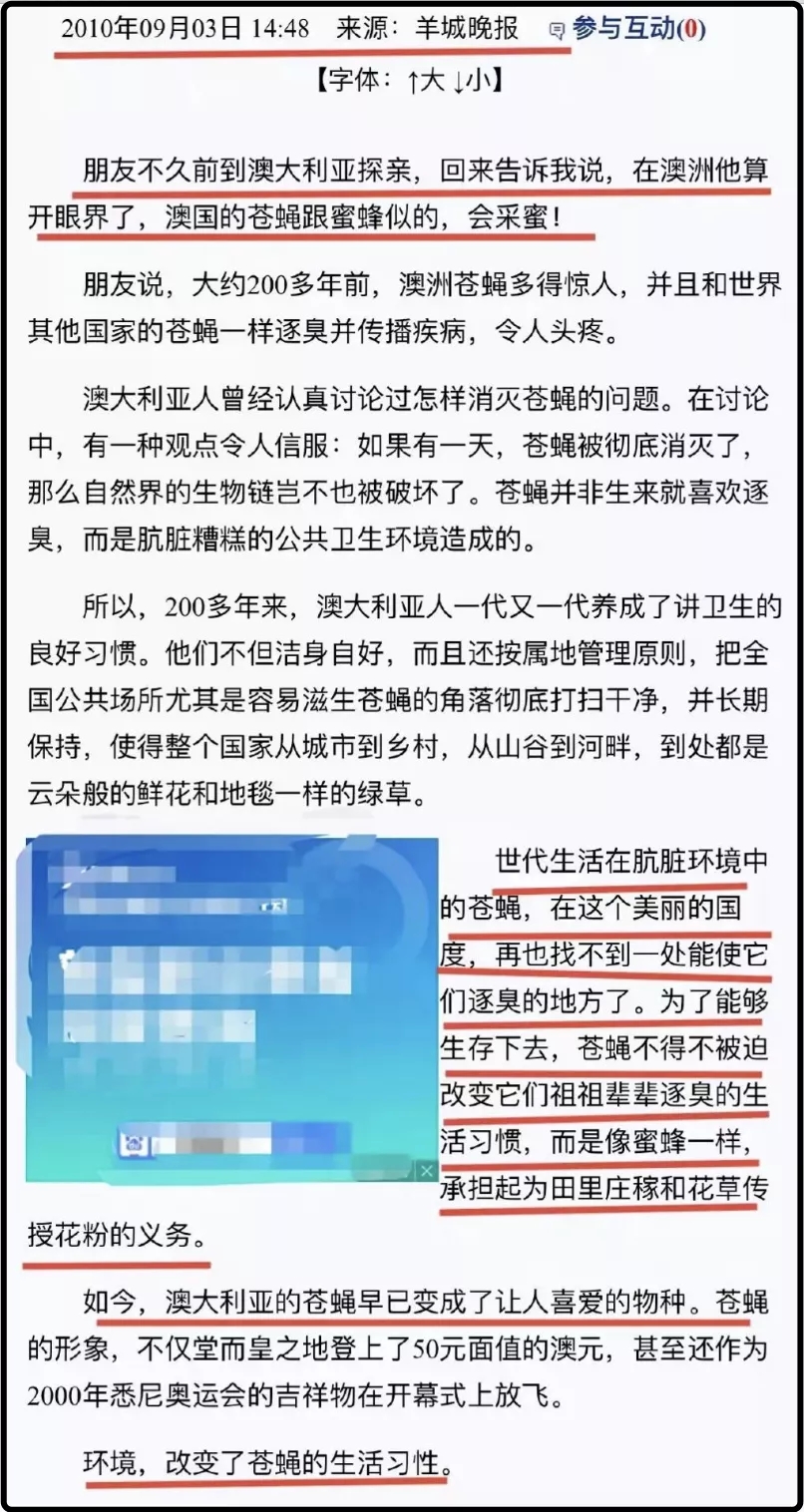 1.webp (16).jpg