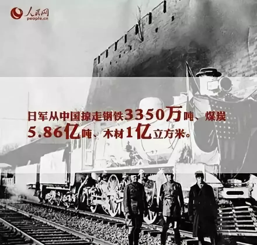 1.webp (33).jpg